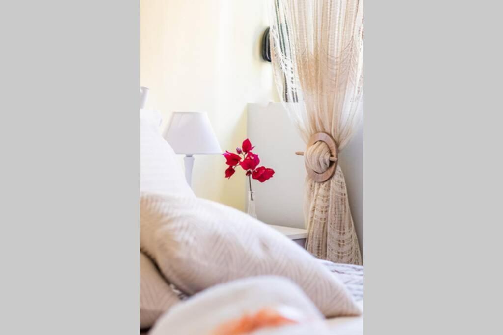 Meandros Apartment Garden View สโกเปลอสทาวน์ ภายนอก รูปภาพ