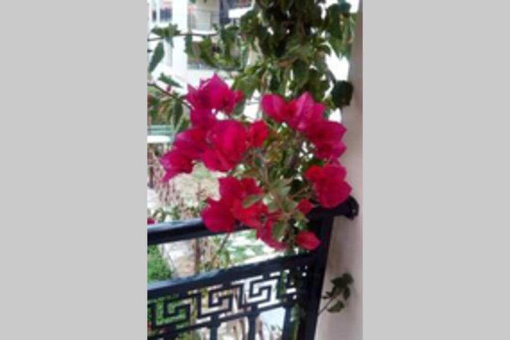 Meandros Apartment Garden View สโกเปลอสทาวน์ ภายนอก รูปภาพ